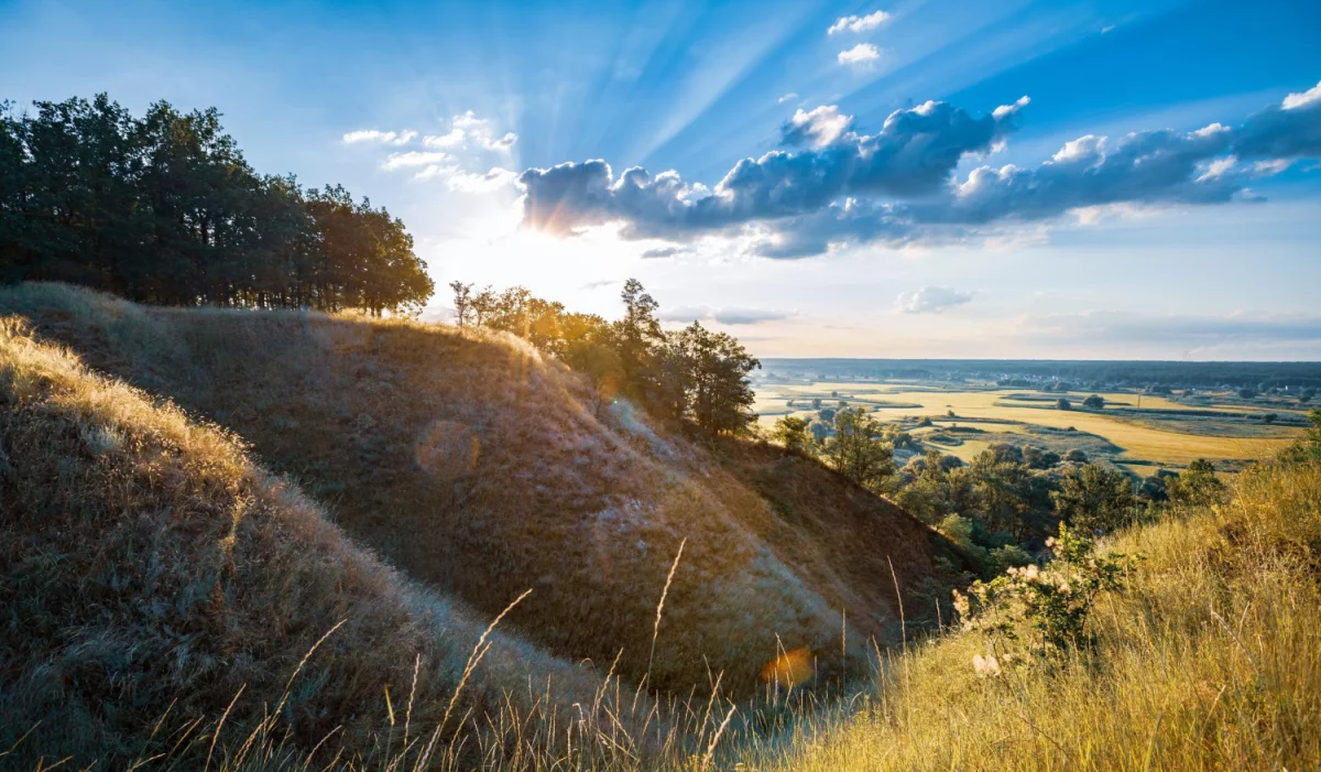 Ale jak kupić firmę?