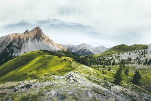 Kilka przydatnych porad z dziedziny prawa