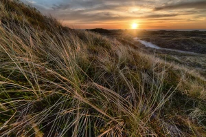 Prawo w praktyce - czyli z czym przychodzimy do adwokata
